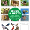 Birds and Nests Image Pack - contents