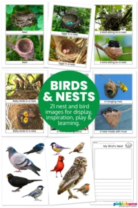 Birds and Nests Image Pack - contents