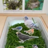 birds nest sensory bin