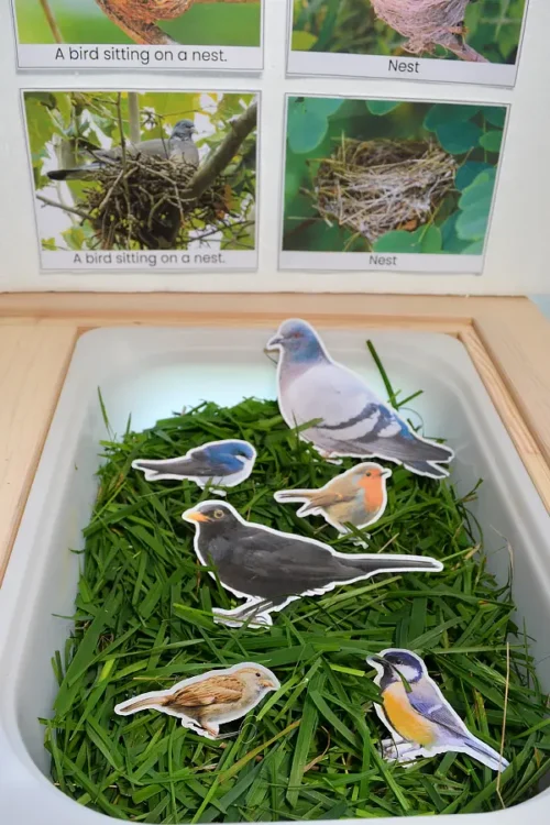 birds nest sensory bin birds nest sensory bin