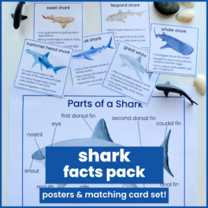 shark facts printable pack