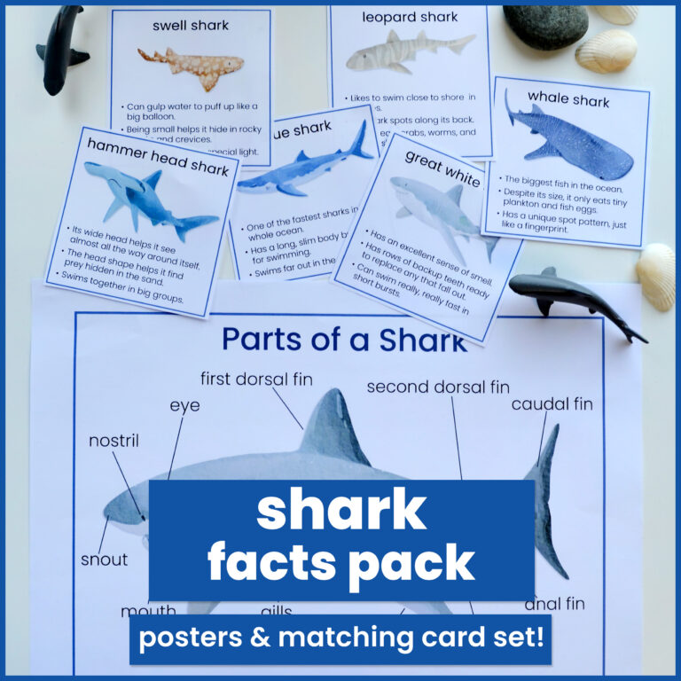 shark facts printable pack