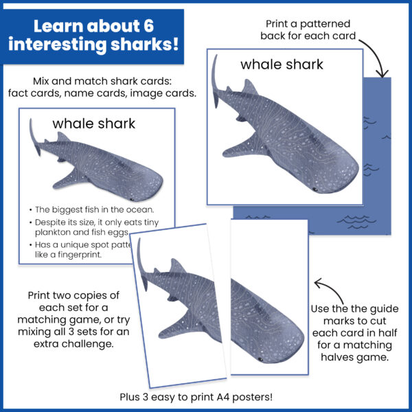 shark-facts-uses shark facts pact - ways to use it